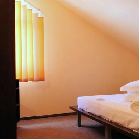 بيت ضيافة Pensiunea Ryana Maria