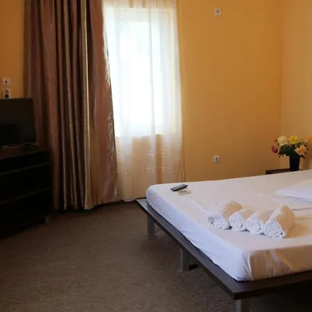 Pensiunea Ryana Maria بيت ضيافة إيفوري نورد