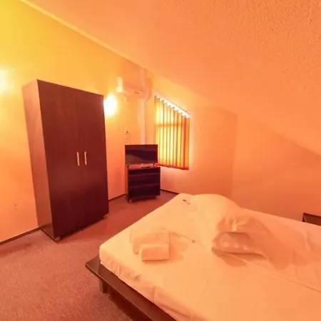 Pensiunea Ryana Maria بيت ضيافة 3*