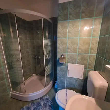 بيت ضيافة Pensiunea Ryana Maria إيفوري نورد