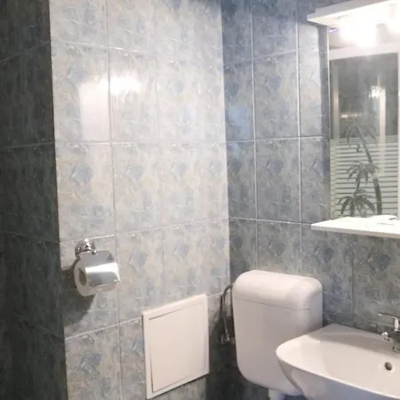 Affittacamere Pensiunea Ryana Maria 3*