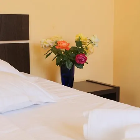 Pensiunea Ryana Maria Affittacamere 3*