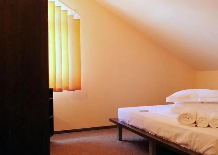 Guest house Pensiunea Ryana Maria