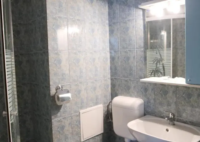 Guest house Pensiunea Ryana Maria 3*