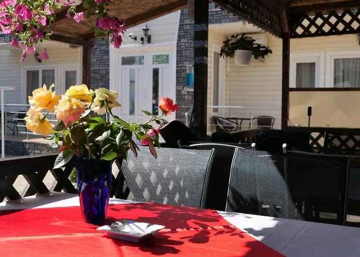 Pensiunea Ryana Maria