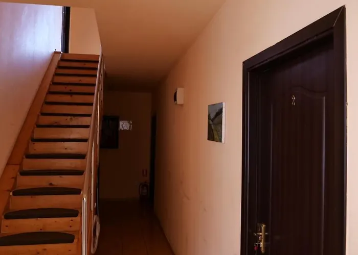 Guest house Pensiunea Ryana Maria