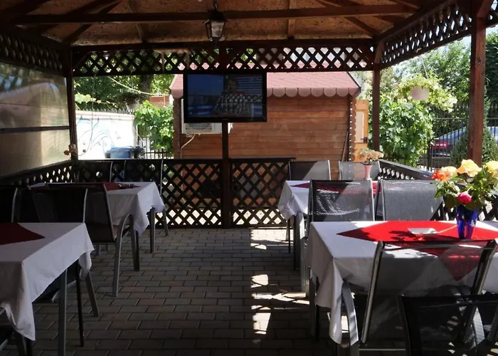 Pensiunea Ryana Maria Guest house 3*