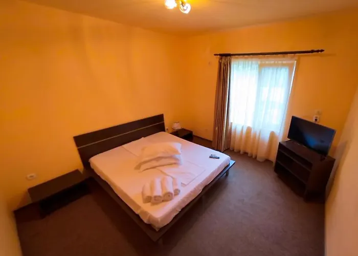 Pensiunea Ryana Maria Πανσιόν 3*