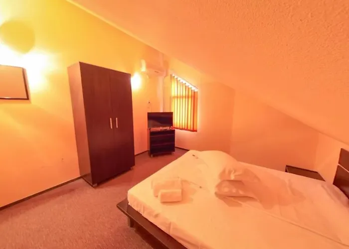 Pensiunea Ryana Maria Guest house 3*