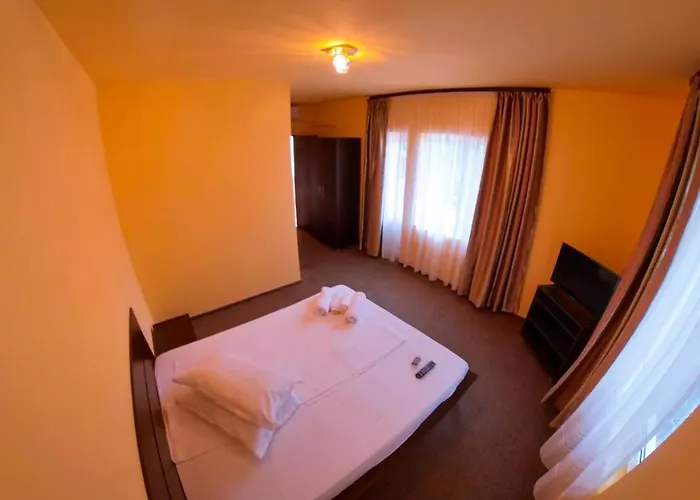 Guest house Pensiunea Ryana Maria 3*