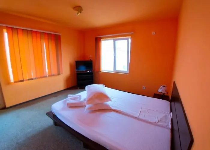 Pensiunea Ryana Maria Guest house