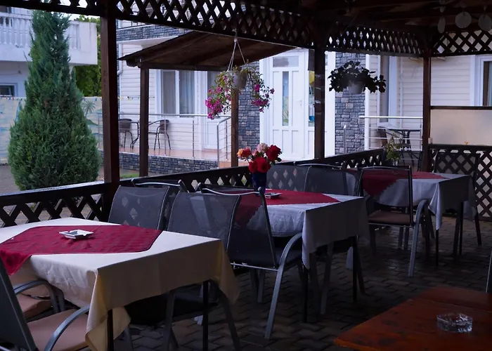 Pensiunea Ryana Maria Guest house