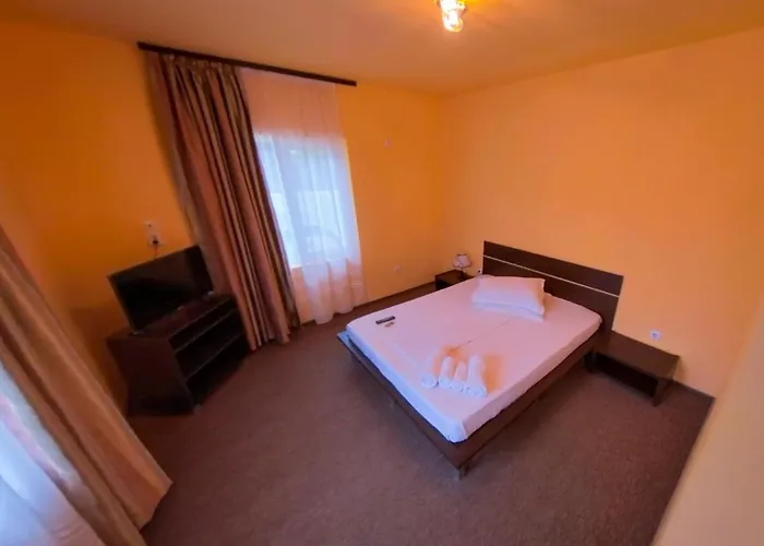 Pensiunea Ryana Maria Guest house