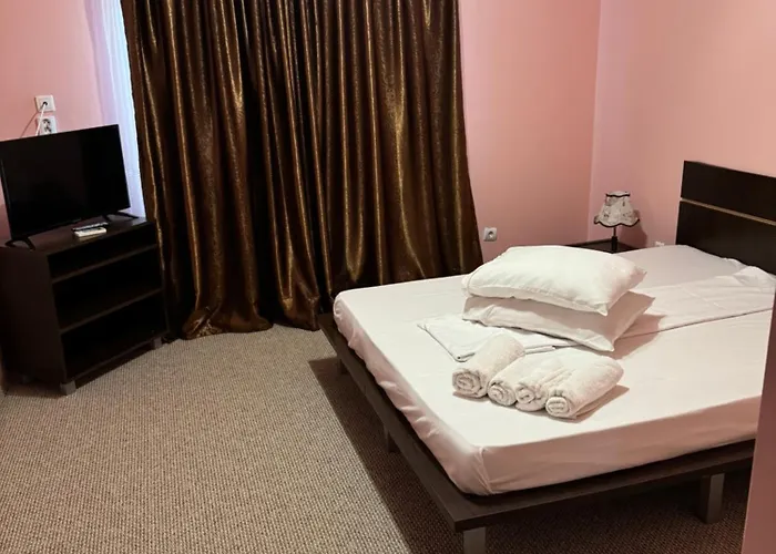 Guest house Pensiunea Ryana Maria